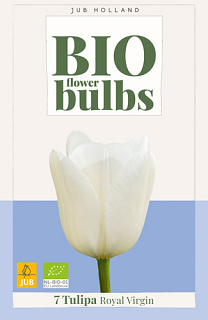 X   7 TULIPA ROYAL VIRGIN - BIO