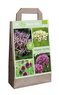 X 1 TAS ORGANIC SPRING - 25 BUTTERFLY MIX