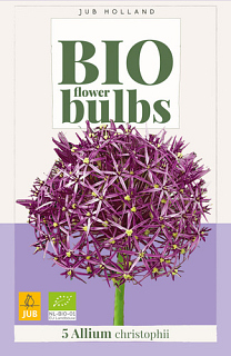 X   5 ALLIUM CHRISTOPHII - BIO