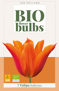 X   7 TULIPA BALLERINA - BIO