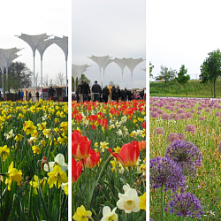 X 1 M2 MENGSEL FLORIADE I