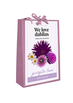 X 1 TAS 4 DAHLIA 'WE LOVE DAHLIAS' PURPLE LOVE I