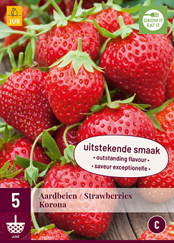 X 5 FRAGARIA / AARDBEIEN KORONA I