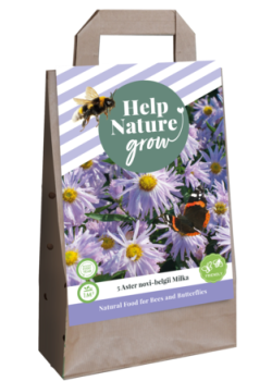 X 1 TAS 5 ASTER NOVI BELGII MILKA - HELP NATURE GROW I