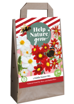 X 1 TAS 5 DAHLIA SUNSET MIX - HELP NATURE GROW I