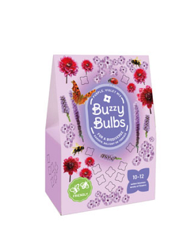 X 1 TAS 10 BUZZY BULBS PURPLE-VIOLET MIX I