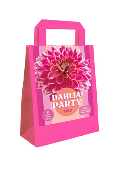 X 1 TAS 2 DAHLIA PARTY PINK I