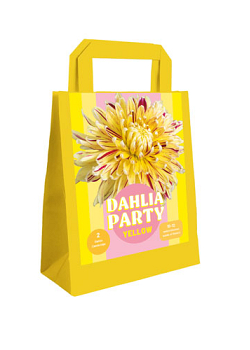 X 1 TAS 2 DAHLIA PARTY YELLOW I