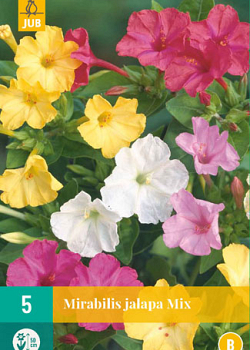 X   5 MIRABILIS JALAPA MIX II