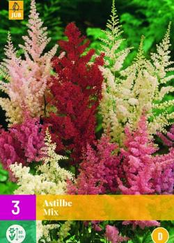 X 3 ASTILBE MIX 2/3