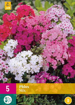 X 5 PHLOX MIX I