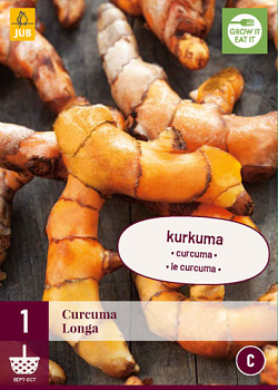 X 1 CURCUMA LONGA I