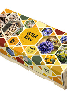 X 1 WILD BEE HOTEL I