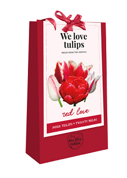 X 1 TAS 20 TULIPA 'WE LOVE TULIPS' RED LOVE 11/12