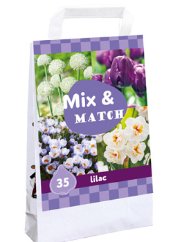 X 1 TAS 35 MIX & MATCH LILAC I