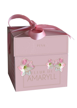 X 1 DOOSJE FLEUR D'AMARYLL PINK 28/30
