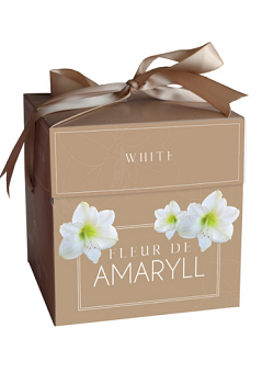 X 1 DOOSJE FLEUR D'AMARYLL WHITE 28/30