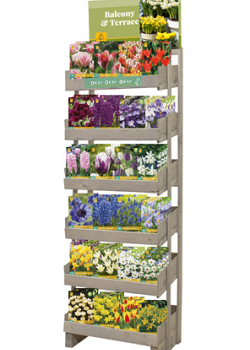 DISPLAY BULBS FOR BALCONY & TERRACE I