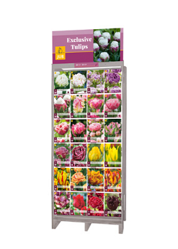 DISPLAY EXCLUSIEVE TULPEN (24 X 7) I