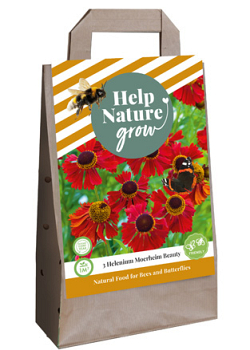 X 1 TAS 3 HELENIUM MOERHEIM BEAUTY - HELP NATURE GROW I