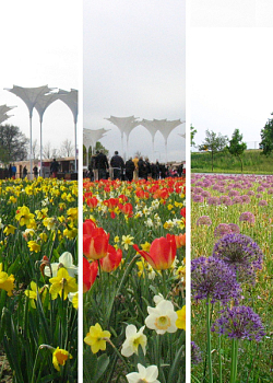 X 1 M2 MENGSEL FLORIADE I
