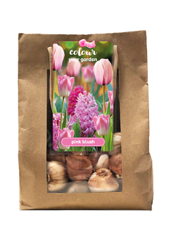 X 1 TAS 25 COLOUR YOUR GARDEN PINK BLUSH I