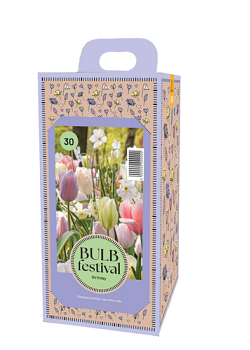 X 1 DOOS 30 BULB FESTIVAL BIRTHDAY I