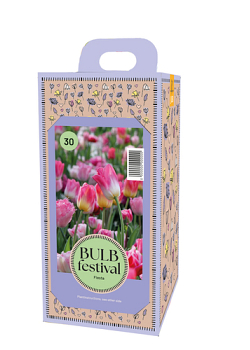 X 1 DOOS 30 BULB FESTIVAL FIESTA I
