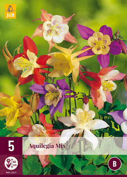 X 5 AQUILEGIA MIX I