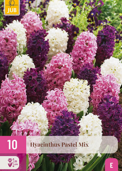 X 10 HYACINTHUS PASTEL MIX 14/15
