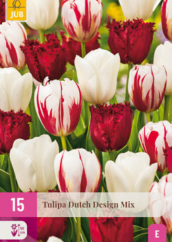 X 15 TULIPA DUTCH DESIGN MIX 11/12