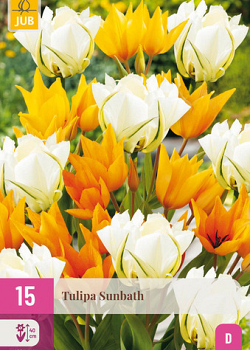 X 15 TULIPA SUNBATH I