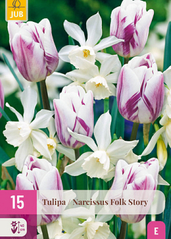 X 15 TULIPA / NARCISSUS FOLK STORY I