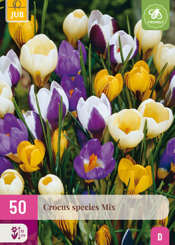 X 50 CROCUS SPECIES MIX 5/+