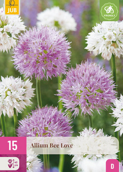X 15 ALLIUM BEE LOVE 6/+