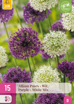 X 15 ALLIUM PAARS - WIT 10/12
