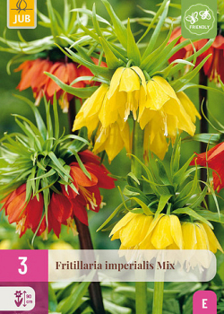 X   3 FRITILLARIA IMPERIALIS MIX 18/20
