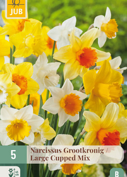 X   5 NARCISSUS GROOTKRONIG MIX 12/14