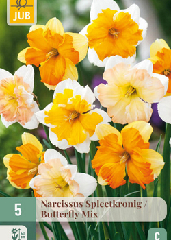X   5 NARCISSUS BUTTERFLY MIX 12/14