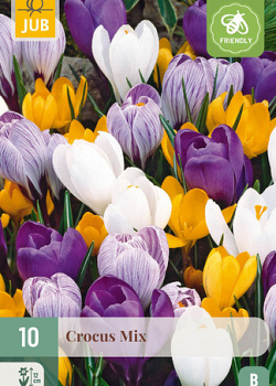 X 10 CROCUS GROOTBLOEMIG MIX 8/9