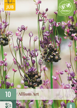 X 10 ALLIUM ART 5/+