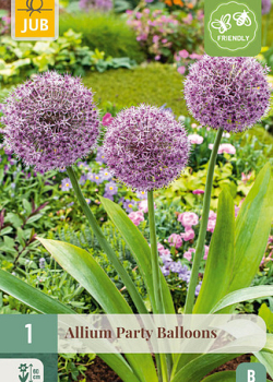 X   1 ALLIUM PARTY BALLOONS 16/18