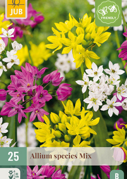 X 25 ALLIUM SPECIES MIX 4/5