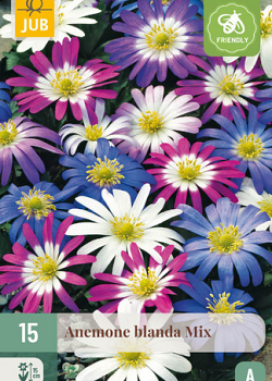 X 15 ANEMONE BLANDA MIX 5/+