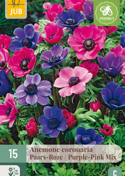 X 15 ANEMONE CORONARIA PAARS-ROZE MIX 5/6