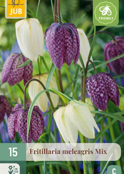 X 15 FRITILLARIA MELEAGRIS  MIX 6/7