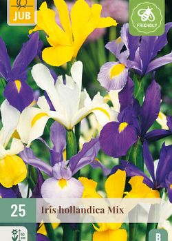 X 25 IRIS HOLLANDICA MIX NJ 7/8