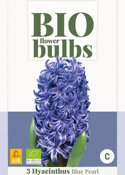 X   3 HYACINTHUS BLUE PEARL - BIO 14/+