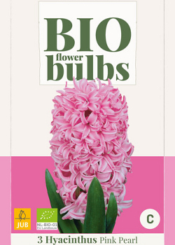 X   3 HYACINTHUS PINK PEARL - BIO 14/+