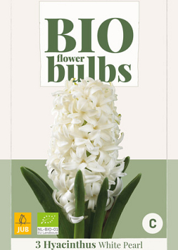 X   3 HYACINTHUS WHITE PEARL - BIO 14/+